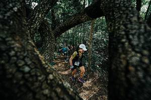 BIB: 
                            <button type="button" onclick="openModal(25392354)" class="btn btn-primary btn-sm float-right btn-popup" data-toggle="modal" data-target=".modal-high-quality">
                        <i class="fas fa-shopping-cart"></i> Add to Cart
                    </button>
                                            <button type="button" onclick="isThisMe(25392354, true)" class="btn btn-success btn-sm float-right btn-popup btn-isme hidden" data-toggle="tooltip" data-placement="bottom" title="นี่คือรูปของคุณใช่ไหม คลิกที่นี่เพื่อเอาเข้าอัลบั้ม">
                        <i class="fas fa-plus"></i> Add to album
                    </button>
                    <button type="button" onclick="isThisMe(25392354, false)" class="btn btn-warning btn-sm float-right btn-popup btn-isnotme hidden">
                        <i class="fas fa-ban"></i> Remove from album
                    </button>